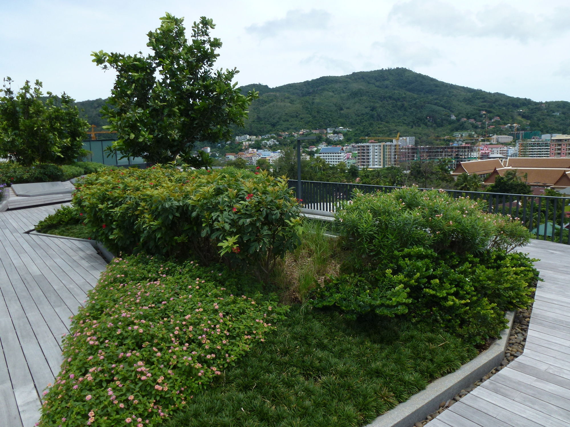 Hotel The Deck 3*